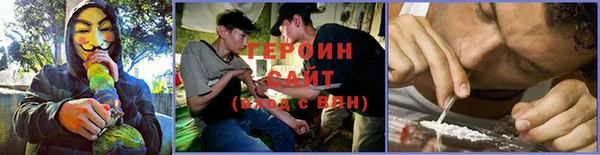шишки Гусев