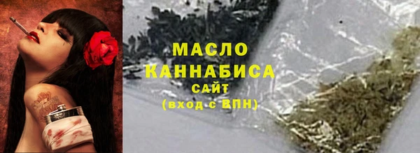 шишки Гусев