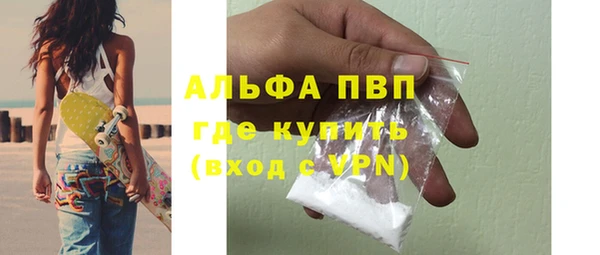 шишки Гусев