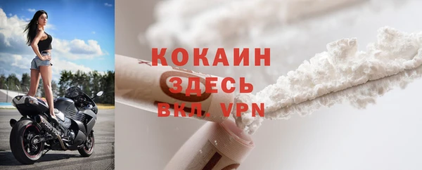 шишки Гусев