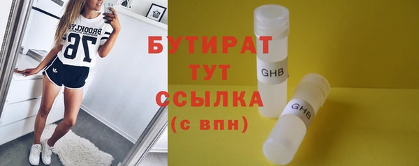 шишки Гусев