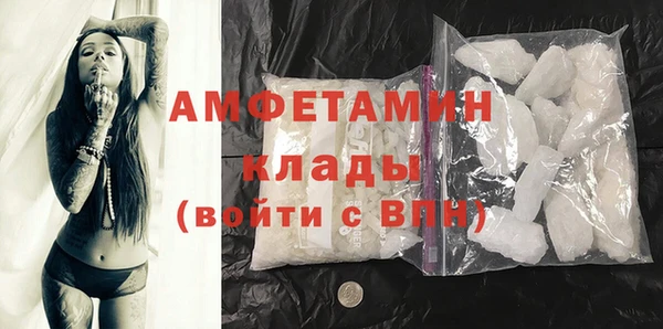 шишки Гусев